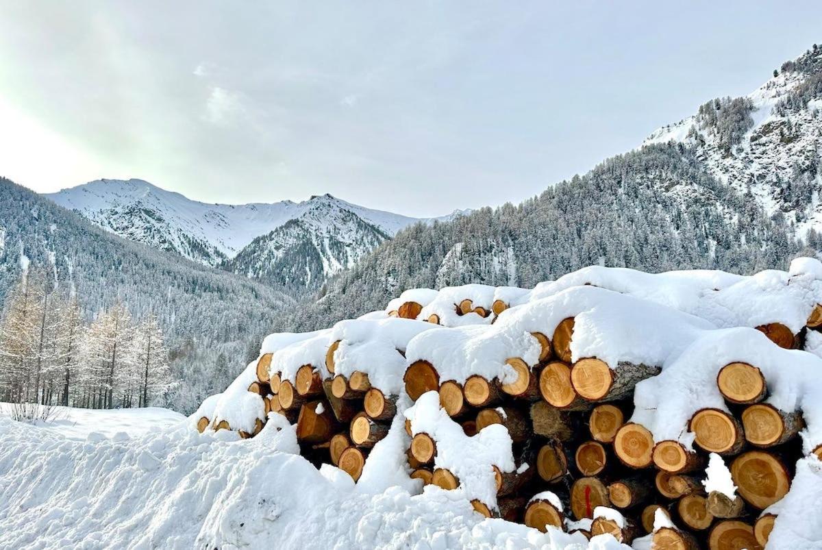 Casa-La Carotto Apart In Chalet Saint Veran Bagian luar foto